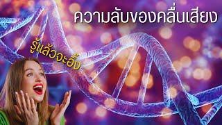 5 ความลับของคลื่นเสียง เหนือความคาดหมาย