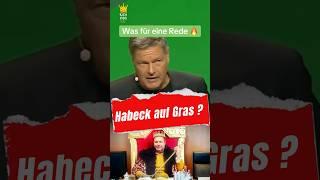 DAS MUSST DU SEHEN #politik #weidel #habeck #afd #bundestag #merz #spd #scholz #cdu #lindner