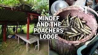 Hidden hut in army training area in Mandai cleared | Mindef and the poachers' lodge