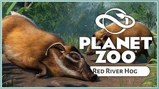 New Red River Hog! | Planet Zoo Tropical Pack | Screenshot Reveals
