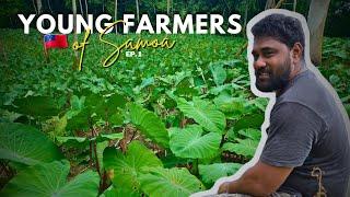 Meet Funefeai Fiaigoa Malolo | YOUNG SAMOAN FARMER | Ep.1