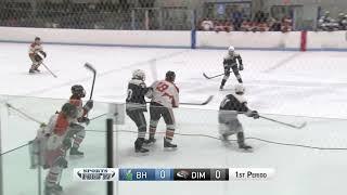 1.22.2020 - Hockey - Diman vs. Blue Hills