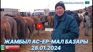 28 қаңтар 2024  Жылқы бағалары / Мал базар Тараз / Mal Bazar kz  