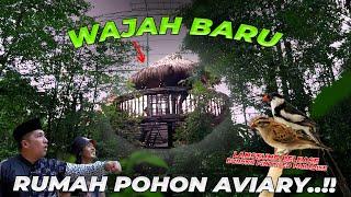 WAJAH BARU RUMAH POHON AVIARY..!! IDE CAK HERRY RASIO LANGSUNG JADI..!!