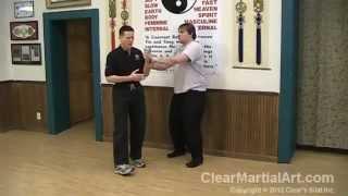 Xing Yi VS Bagua VS Tai Chi