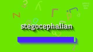 HOW TO PRONOUNCE STEGOCEPHALIAN? #stegocephalian