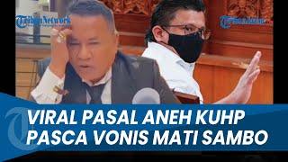 VIDEO HOTMAN PARIS VIRAL LAGI Pasca Ferdy Sambo Divonis Mati, Ada Pasal Aneh di KUHP Baru