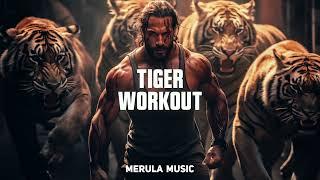 Epic Uplifting Rap Beat | Hard Motivational Hip Hop Instrumental | "TIGER WORKOUT" by  @MerulaMusic