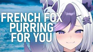 【ASMR】French fox purring for you 