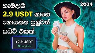 දවසකට අවම 2.9 USDT හොයන්න පුලුවන් වෙබ්සයිට් එකක්  How to make online money sinhala 2024