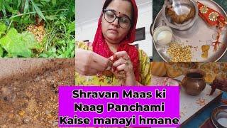 Sawan Ki Naag Panchami kaise mnayi hamne #housewifevlogs #dailyvlogs #indianvlogs #hindivlog #vlog