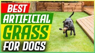 The 5 Best Artificial Grass for Dogs [2025 Guide]