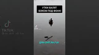 Утки валят боком под фонк #shorts #tiktok #тикток #мемы #приколы #кринж #прикол #мем #украина