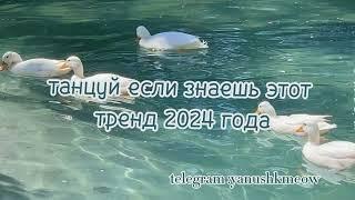 🩵 Танцуй если знаешь этот тренд 2024 года 🩵 Лучшее тренды Тик Ток 2024 🩵