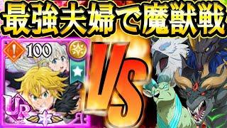 新エリザベス＆メリオダスvs魔獣戦攻略！ぶっ壊れ火力でまさかのギミック突破力w初心者さん必見！【グラクロ】【七つの大罪】【Seven Deadly Sins: Grand Cross】