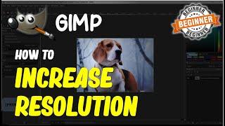 Gimp How To Increase Resolution