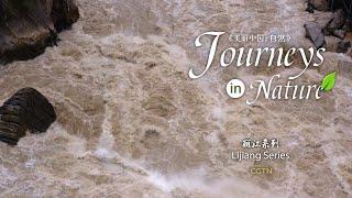 Lijiang Series Ep. 11: What is it like in dry-hot valleys?