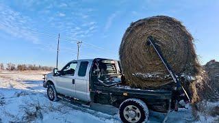 Snow Day On The RANCH!