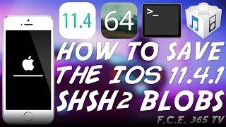 How to Save iOS 11.4.1 SHSH2 Blobs For Future DOWNGRADE / JAILBREAK (And Why You Should)