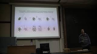 Bioseminars.ru: Откуда у инфузорий пол.