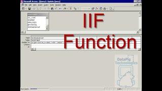 The versatile Immediate If (IIF) Function ~ DataPig