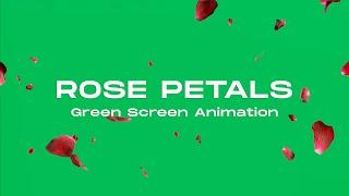 Rose Petals Falling - Green Screen Effect