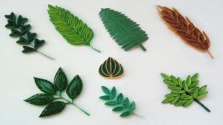 Episode 3 : Quilling Basic Shapes - Leaves