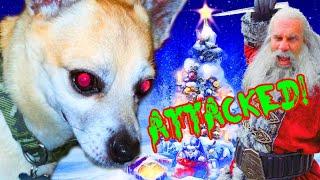 Attacked! Flex Dog Hates Christmas Trees