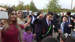 Yezidi Kurdish wedding GOVAND Езидская свадьба Exclusive 07.10.2018 Ярославль