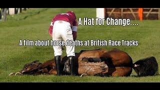 RACEHORSE DEATHS - 'A HAT FOR CHANGE' - ROYAL ASCOT 2016 - PART 1