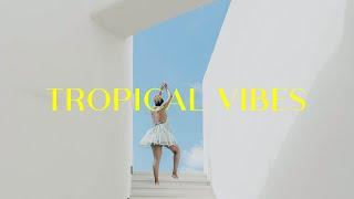 Dancehall Instrumental Type Beat 2024 ("Tropical Vibes Riddim")