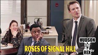 Hudson and Rex New 2024  Roses of Signal Hill   Best American Police Procedural Drama