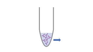 Ask Alex - Main considerations when using Lightning-Link Antibody conjugation kit