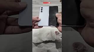 Samsung Galaxy Z Fold 5 (Icy Blue) Unboxing