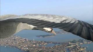 Flying Alongside Common Cranes Over Venice