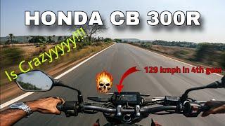 HONDA CB 300 R | what a machine!!!