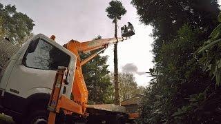 Baumfällung | LKW - Arbeitsbühne | STIHL MS 360  | *GoPro*POV*