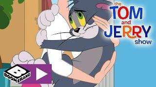 Die Tom & Jerry Show | Der neue House-Sitter | Cartoonito
