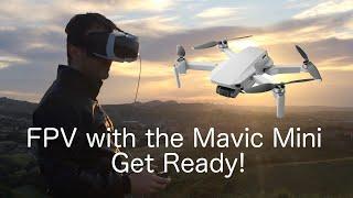 VR FPV with the Mavic Mini?  get ready! (Maven app) AIR2,AIR2S,mini2,mini SE too DJI FPV DRONE
