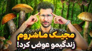 تجربه من از تریپ های متنوع مجیک ماشروم  از تجربه سایکوز تا غوطه ور در عشق