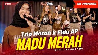 Trio Macan X Fida AP - Madu Merah #secangkirmadumerah (Official Music Video) | Live Version