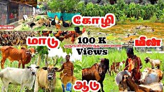  தரமான ஒருங்கிணைந்த பண்ணை // integrated farming // integrated farming system model #pannaiveedu