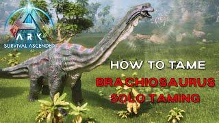 ARK Survival Ascended | How to Tame BRACHIOSAURUS (Ark Additions)