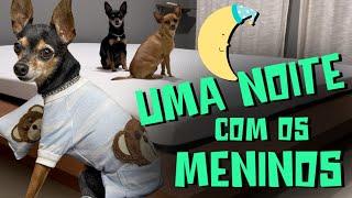 PASSAMOS UMA NOITE INTEIRA FILMANDO NOSSOS CACHORROS | ROTINA NOTURNA DOS PEQUENOS PRÍNCIPES