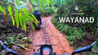 Exploring Wayanad - 4 - In Search Of Trails - Elimbileri - AnnyArun