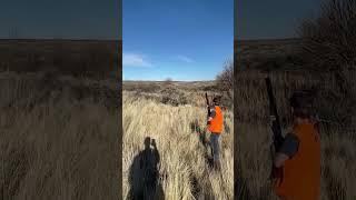 Happy Father's Day, Dad's. My Dad, Brother, & Son hunting pheasant. #hunting #birdhunting #pheasant