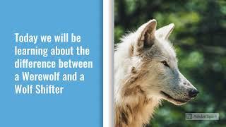 Difference Between a Werewolf and a Wolf Shifter