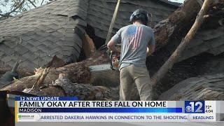 Madison family safe after trees fall on home