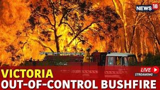 LIVE: Out-Of-Control Victoria Bushfire Horror | Firefighters Prepare For Devastating Day | N18G