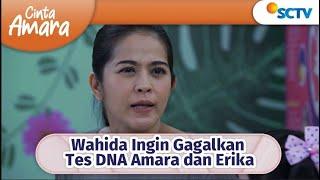 Gawatt!! Wahida Ingin Gagalkan Tes DNA Amara dan Erika | Cinta Amara Episode 84